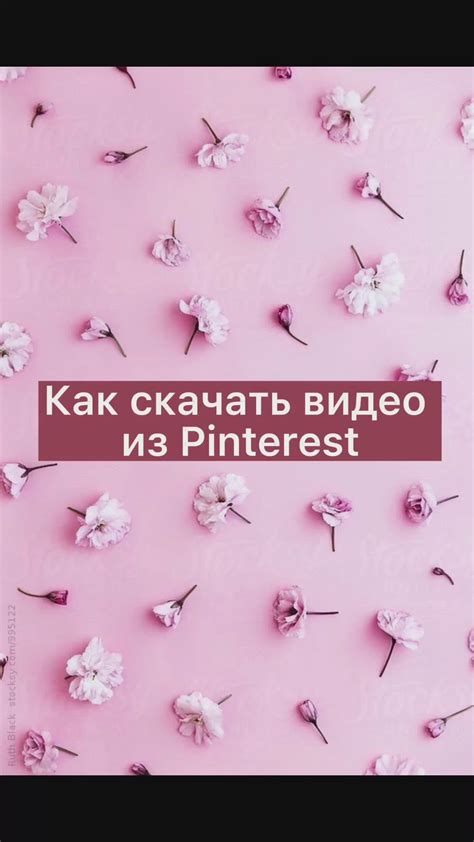 Скачать Видео С Пинтерест