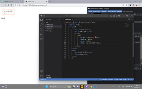 CSS #3