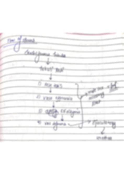 Image result for Testes Structure Class 12