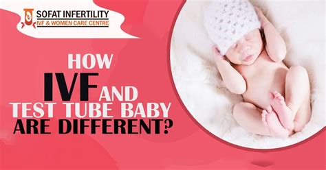 How Ivf And Test Tube Baby Are Different