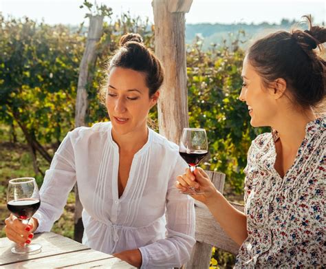 The Top High-Alcohol Content Wines: Exploring the Strongest