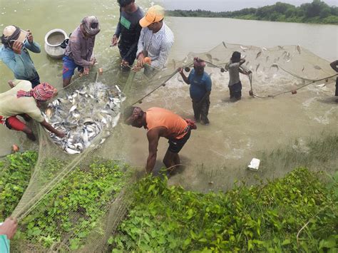 Aquaculture Monitoring System - an Initiative of SFDC, Dept. of ...