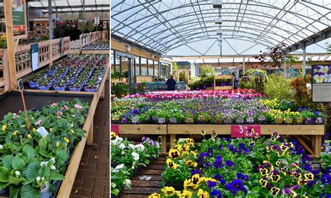 Major garden centre chain announces another three store closures