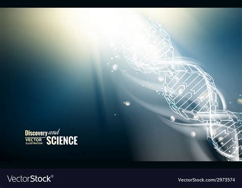 Digital Vector Image Example 的图像结果