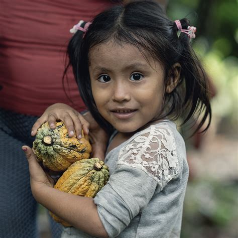 We plant a tree for every Pro member in association with One Tree ...