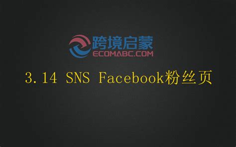 sns社交网站有哪些优缺点？国内用户如何下载中文版使用？ - 拼客号