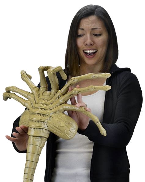 Image result for Alien Facehugger Animation