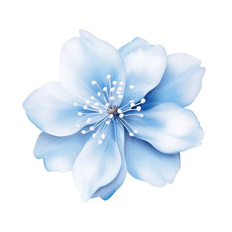 Light Blue Rose Flower