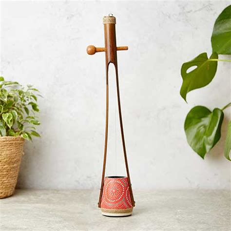 Image result for Stringed Flat Instruments