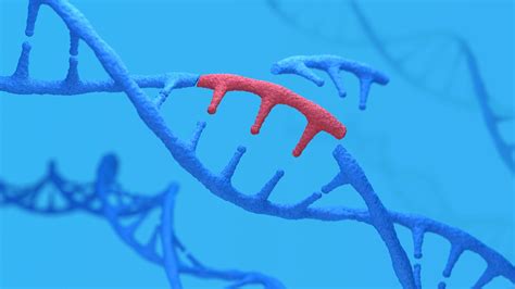 Genomic Data Science and Ml Tutorials 的图像结果