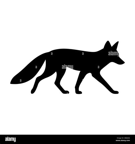 Fox animal night Black and White Stock Photos & Images - Alamy