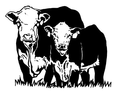 Cow Calf Clipart Black And White at Michael Birdwood blog