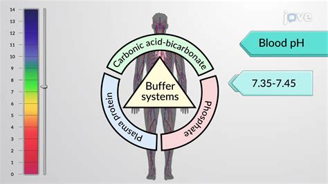 What Does It Mean When Ph Balance Is Off at Alex Cruz blog