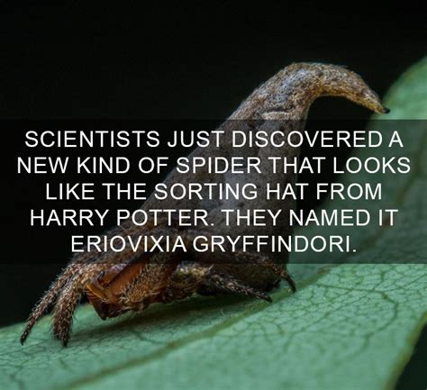 Image result for Random Happy Facts