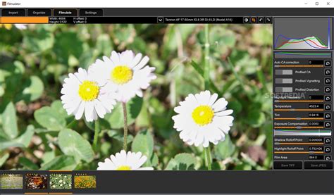 Image result for Filmulator Tutorial