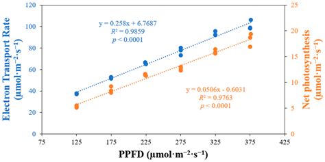 Varying Light Intensities Affect Lettuce Growth and Physiology in ...