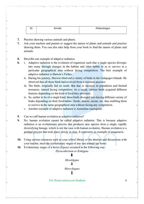 Evolution Level Class 7 的图像结果
