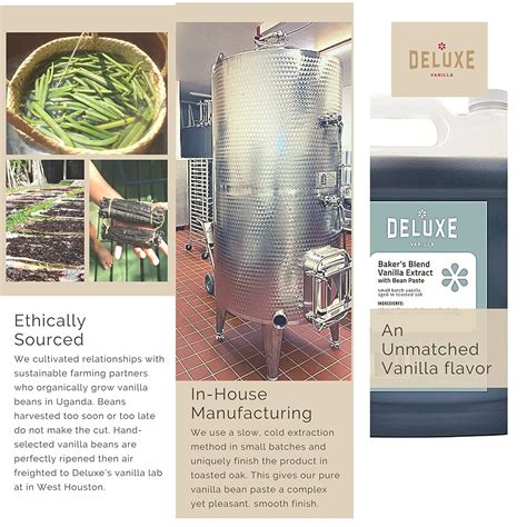 Deluxe Vanilla Bean Paste 128 oz - Bakers Blend Extract with Real ...