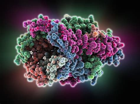 MscL ion channel protein structure Photograph by Science Photo Library - Pixels