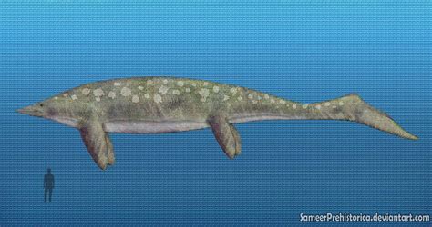 Image result for Extinct Sea Creatures