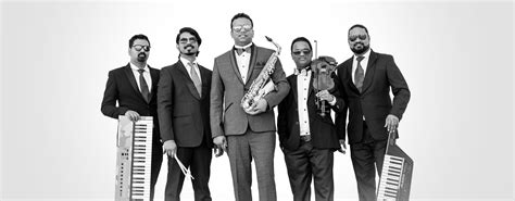 Mello Tree - Electro World Fusion Music Band