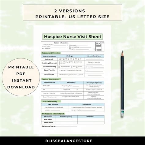 Hospice Nurse Cheat Sheet: Visit Assessment Form (PDF) - Etsy