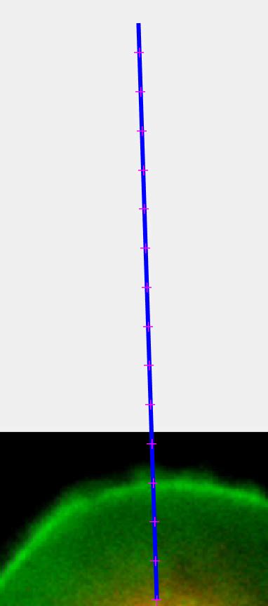 Image result for Draw Line MATLAB