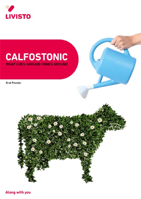 Transition period | Cattle