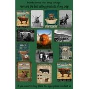 Buy Highland Cow Wall Art Small Get Naked Highland Cattle Sunflower ...