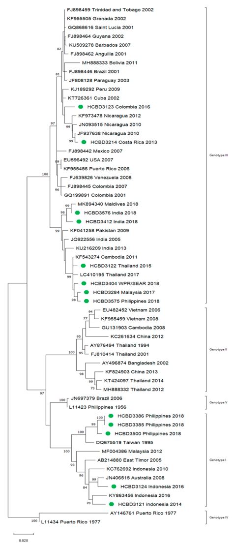 Molecular Characterization of Imported and Autochthonous Dengue in ...