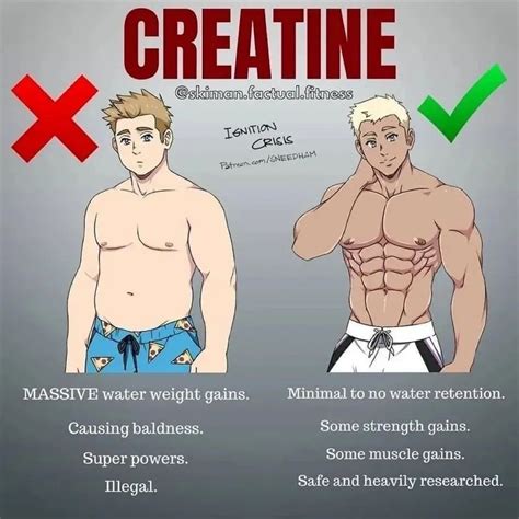 10 Facts about Creatine | Creatine, Creatine benefits, Gym motivation quotes