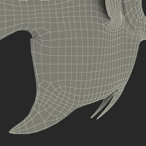 Moorish Idol Fish 3D | 3D Molier International