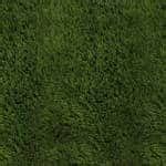 Image result for Basic Training Turf