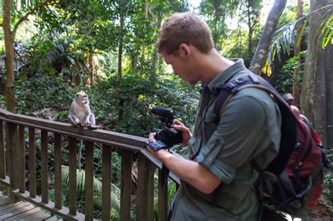 Image result for Monkey Blog