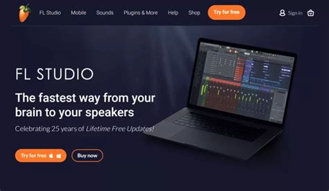 Image result for Audio Editor FL Studio