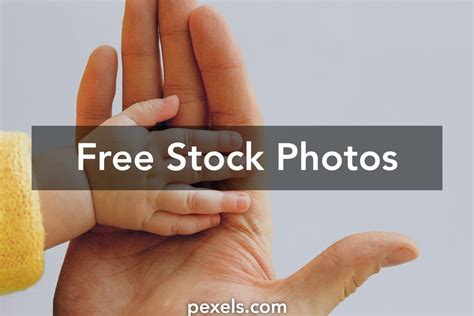 Image result for Free Pictures to Copy