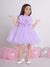Buy Ministitch Sleeveless 3D Floral Applique Party Frock- Lilac Online ...