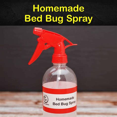 Best 13 How to Get Rid of Bed Bugs Naturally – Artofit