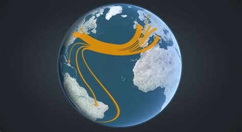 Human Migration Examples 的图像结果