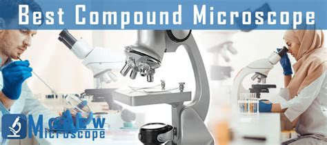 Image result for Compound Microscope Reviews
