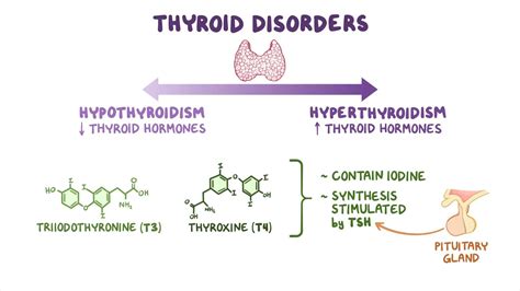 Medications for thyroid disorders: Nursing pharmacology: Video, Causes ...