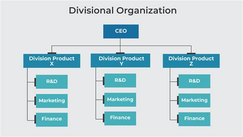 Divisional Structure 的图像结果