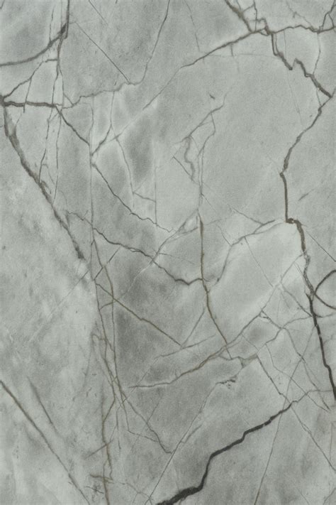 3364 ALASKA GREY || Sapphire Woods India LLP