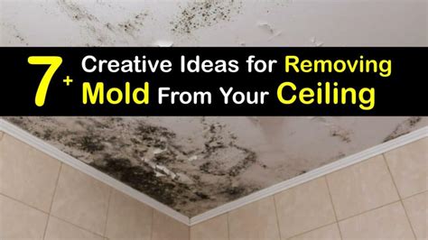 Image result for Remove Mold From Textured Ceiling