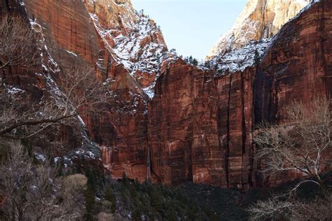 5 Reasons to Visit Zion National Park in Winter (plus top things to do)