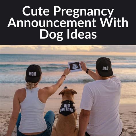 10 Adorable Ways to Announce Your Pregnancy with Your Dog