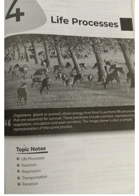 Life Processes Class 10 SuccessCDs 的图像结果