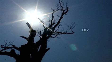 Odisha Boils As Eight Places Record Temperature Above 40 Degrees Celsius