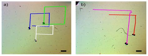 Micromachines | Special Issue : Magnetic Microrobots for Biomedical ...
