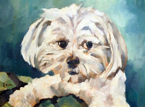 Image result for Cockapoo Drawing Formal Portrait